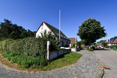 DSC_1419.jpg