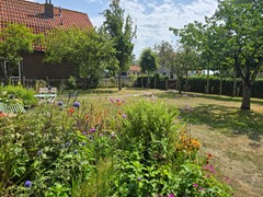 20250702_121922.jpg