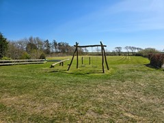 20250411_143924.jpg