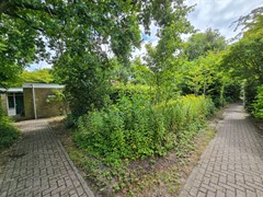 20250802_130707.jpg
