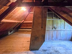 20250814_121015.jpg