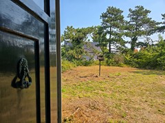 20250814_115328.jpg