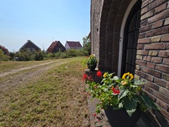 20250814_113909.jpg