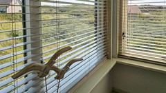 20250814_141051.jpg