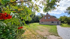 20250824_115817.jpg