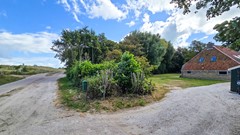 20250824_115844.jpg