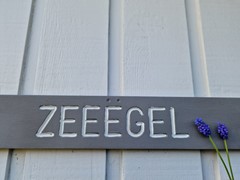 20240329_120446.jpg