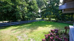 DSC_2470.jpg