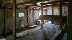 20250904_103439.jpg