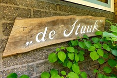 DSC_1373.jpg