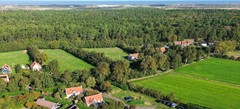 DJI_0414.jpg