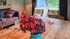 20251013_105136.jpg