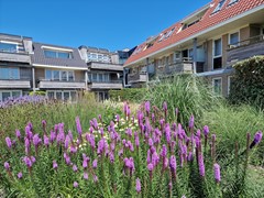 Te koop: Heereweg 5-45, 8891HS Midsland