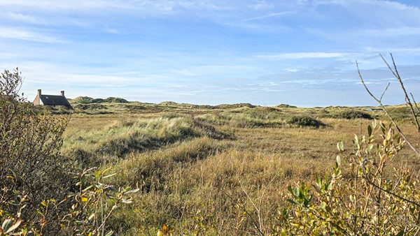 Medium property photo - Midsland aan Zee 383, 8891 HV Midsland