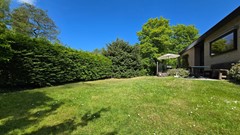 20260509_120730.jpg