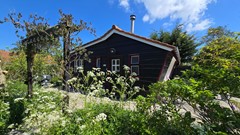 20260509_114606.jpg