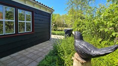 20260509_114831.jpg