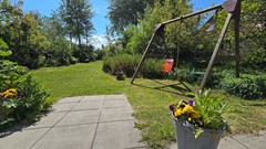 20260509_114906.jpg