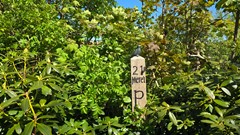 20260509_114530.jpg