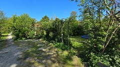 20260509_115018.jpg