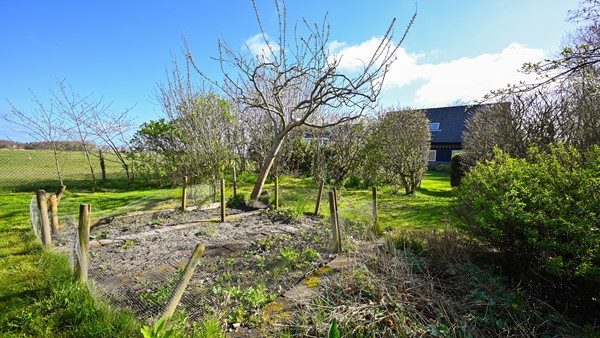 Medium property photo - Kallandspad 30, 8891 GS Midsland