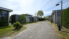 DSC_8366.jpg