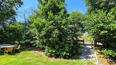 20250808_140829.jpg