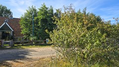20250829_095954.jpg
