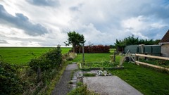 DSC_1804.jpg