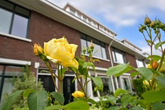 Sold: Jacob Catsstraat 55, 2274 GT Voorburg