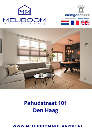 Brochure preview - brochure Pahudstraat 101.pdf