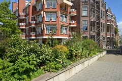 New for sale: Paulus Buijsstraat 48, 2582 CK The Hague