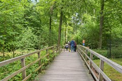 Bezuidenhoutseweg 80L-40.jpg