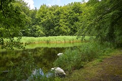 Bezuidenhoutseweg 80L-46.jpg
