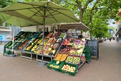 Bezuidenhoutseweg 80L-49.jpg