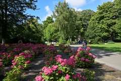 Noordwal 45-46.jpg