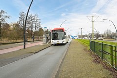 Havannasingel 14-37.jpg