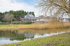 Havannasingel 14-39.jpg