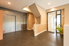 Vendu: Stadhoudersplantsoen 14, 2517 JL Den Haag