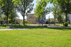 Vendu: Stadhoudersplantsoen 14, 2517 JL Den Haag