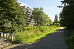 Vendu: Stadhoudersplantsoen 14, 2517 JL Den Haag