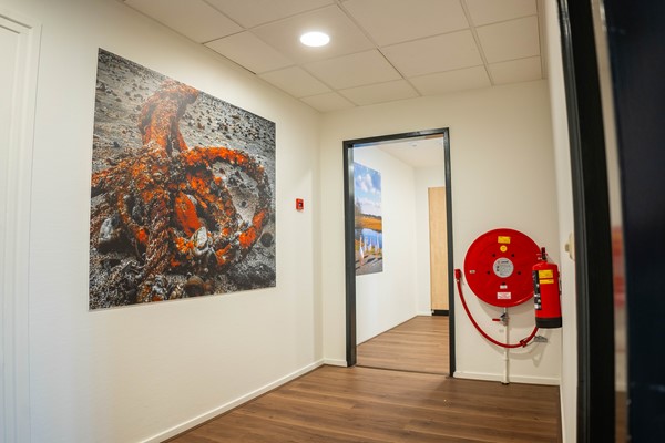 Medium property photo - Huigensstraat 2, 6691 EL Gendt