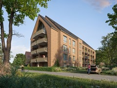 890 2024_10_29 P3 (1).jpg