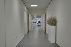 Lichtenhorststraat 21 Didam 21.jpg