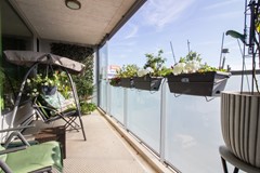 IMG_0626.jpg