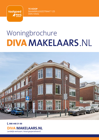 Brochure preview - Baambruggestraat 125, 2546 SJ DEN HAAG (5)