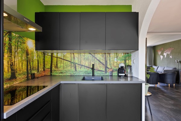 Medium property photo - Van der Gaagstraat 69, 2552 VB The Hague