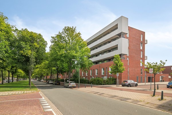 Te koop: Makelaar Morgenstond www.thuisinmorgenstond.nl