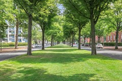 Meppelweg6622544BNsGravenhageNL-37.jpg