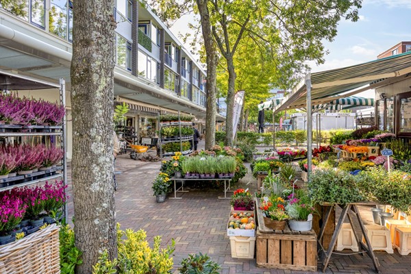 Medium property photo - Messchaertstraat 77, 2551 KN The Hague